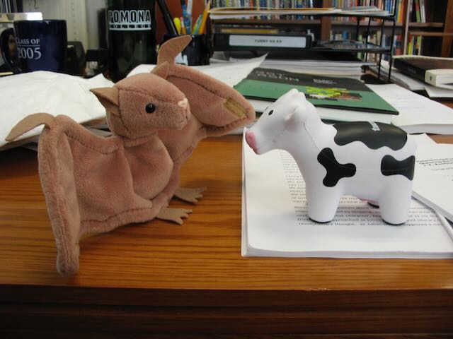 a squishy cow facing down a beanie bat