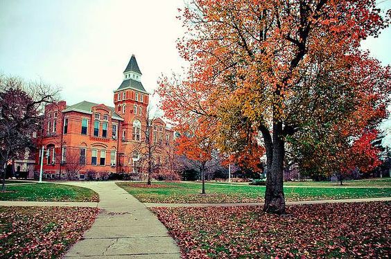 MSU's Linton Hall, a late 19th century red brick building, in the fall, with red leaves falling from the trees