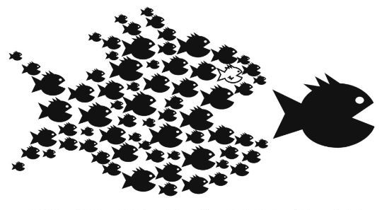 Many small fish are bigger than one big one