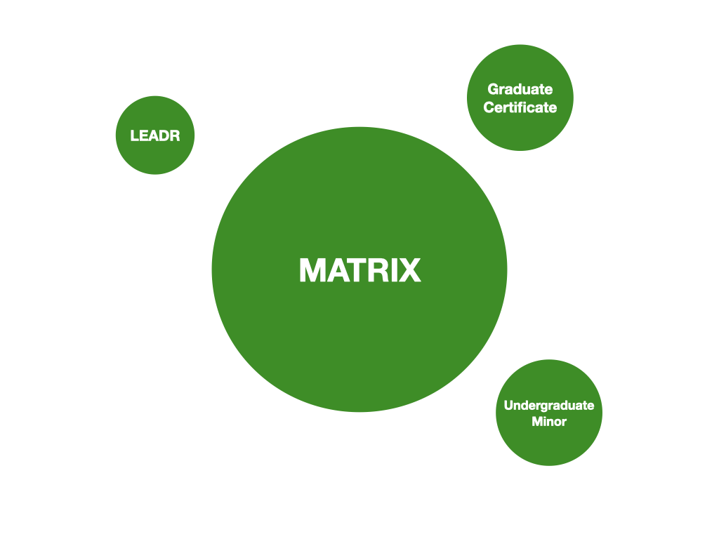 curricular programs