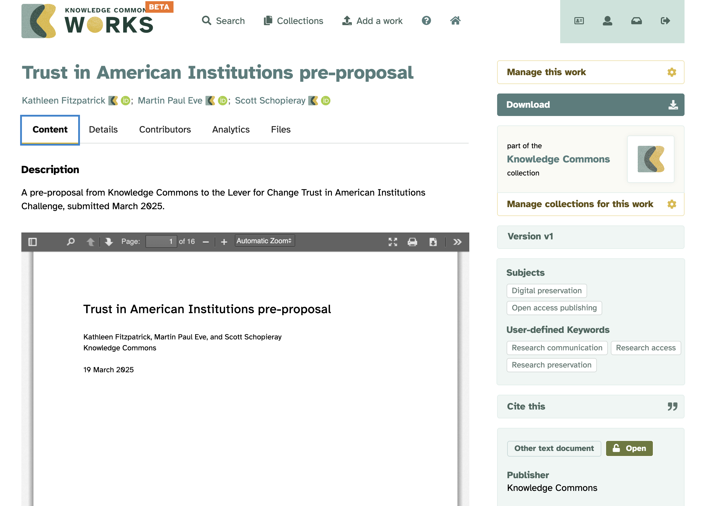 Screenshot of repository item