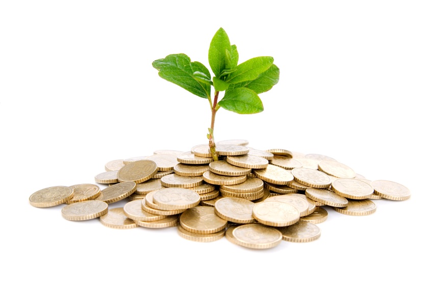 Clipart image of a tiny tree mulched in with coins