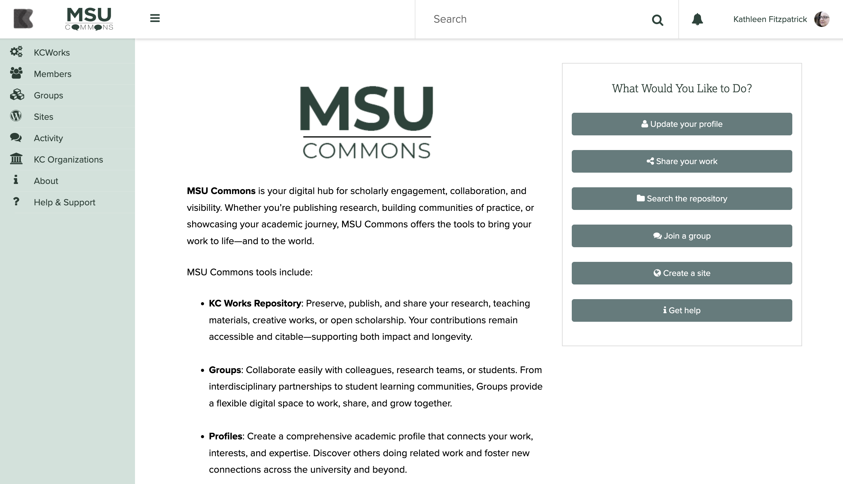 Screenshot of MSU Commons